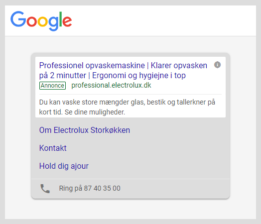 SEM Electrolux Professional Google Ads